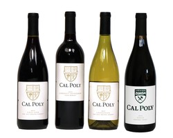 Case Value Pack- 12 Bottles of Cal Poly Wine