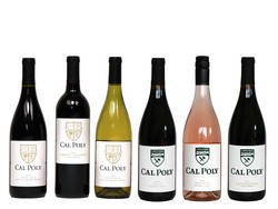 Case Value Pack- 12 Bottles of Cal Poly Wine