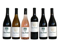 The Full Flight- 6 Bottles of Cal Poly Wine