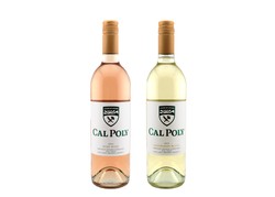 Two Bottle Gift: Crisp and Delicious