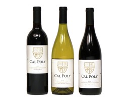 Case Value Pack Image