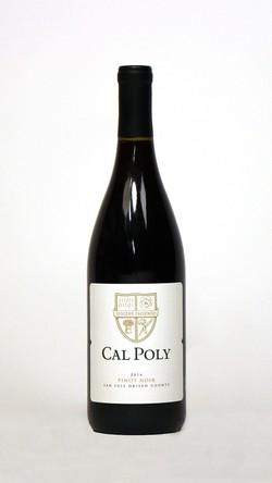 2016 Pinot Noir